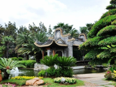 与哲学不同，认知心理学是从知识的来源